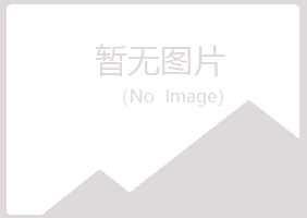 塔河县冰夏工程有限公司